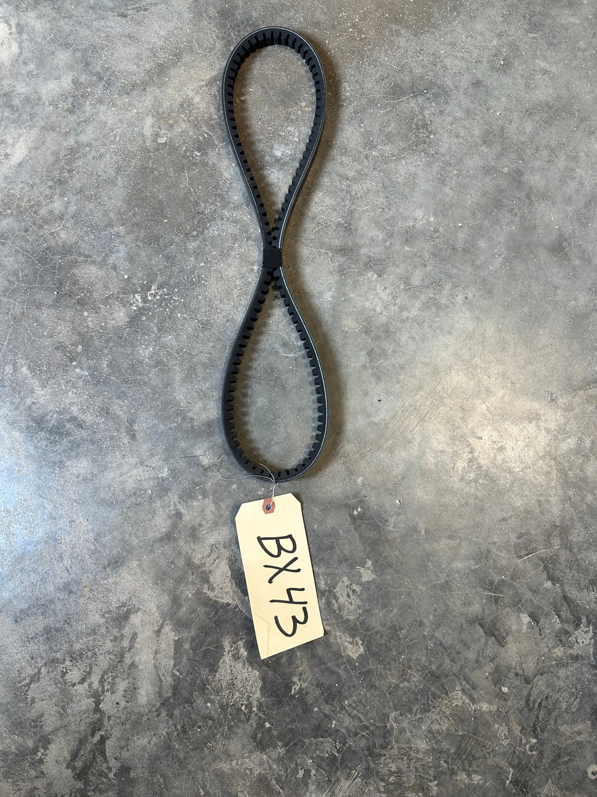 BX43 BELT