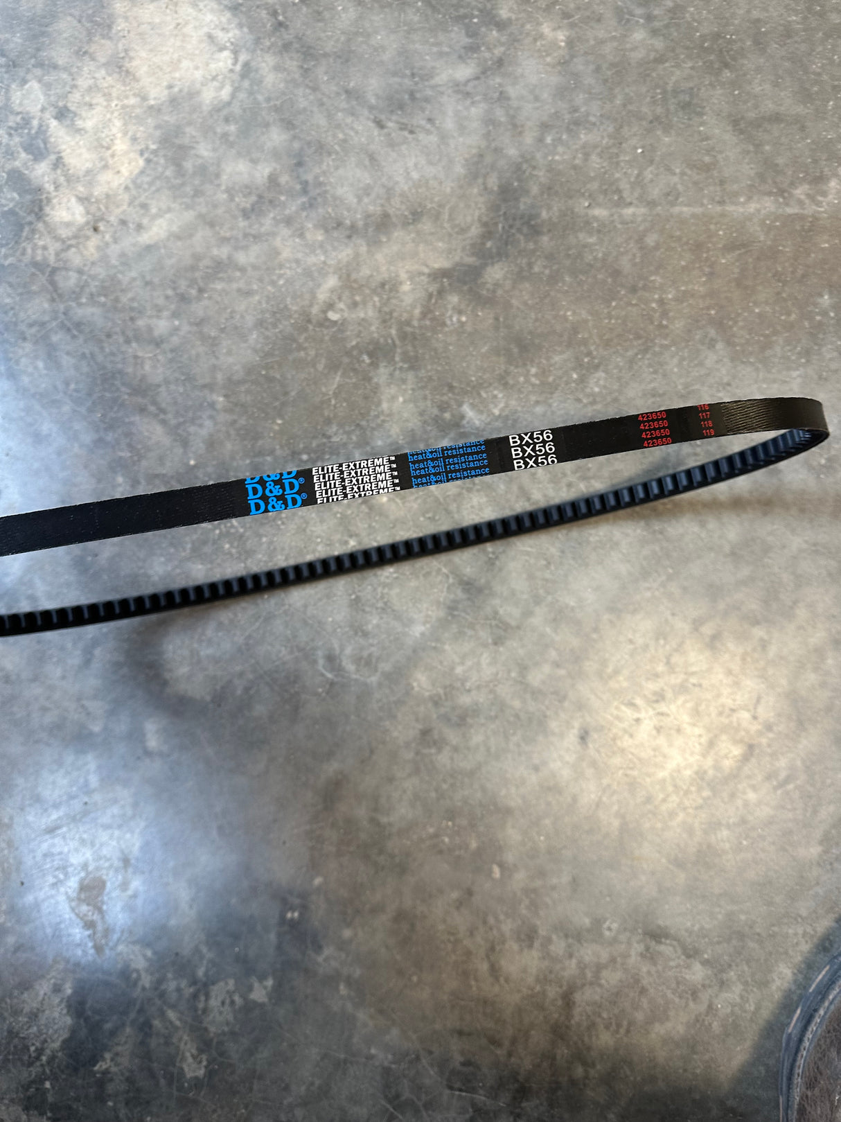 BX56 BELT