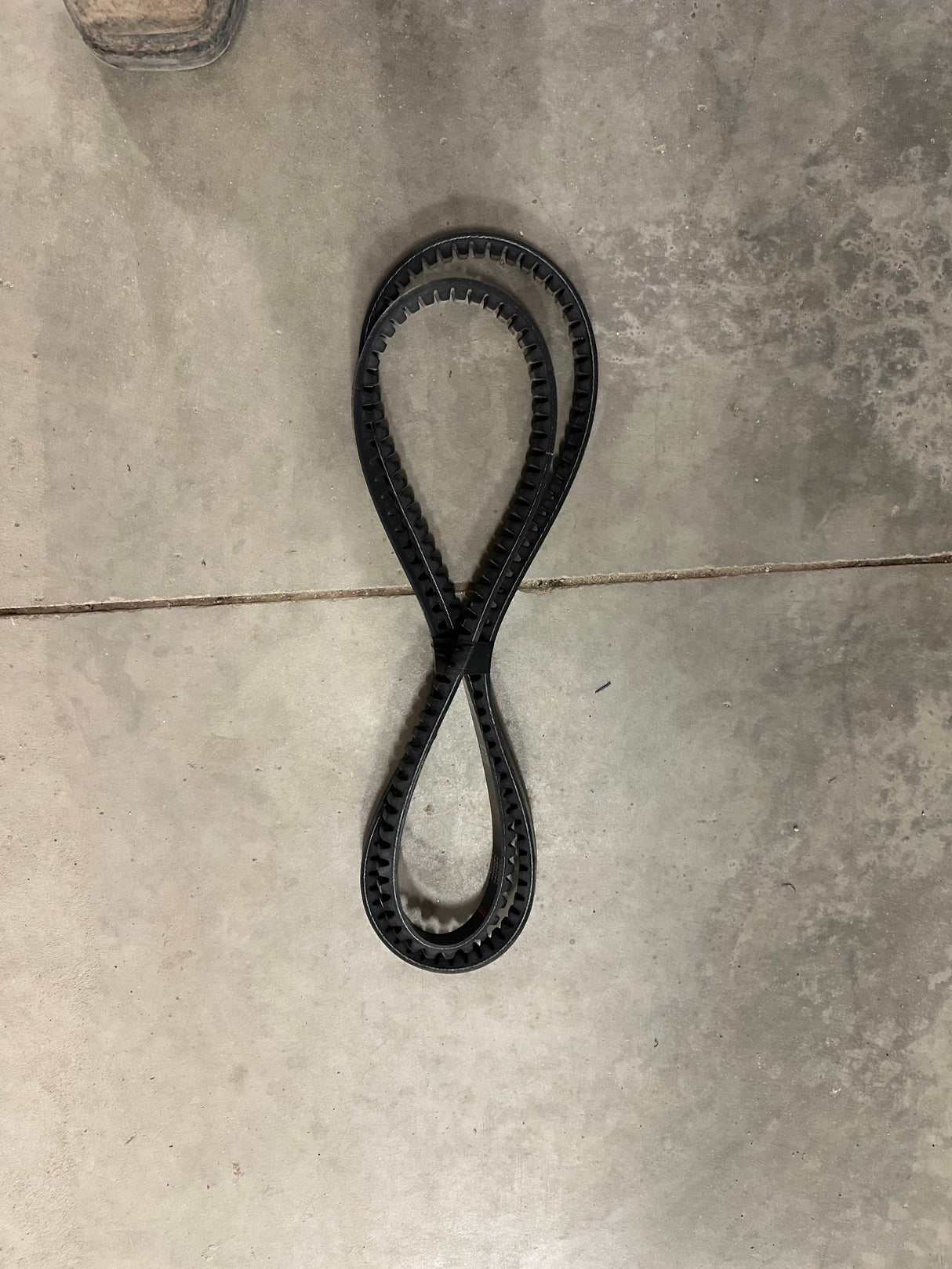 BX79 BELT