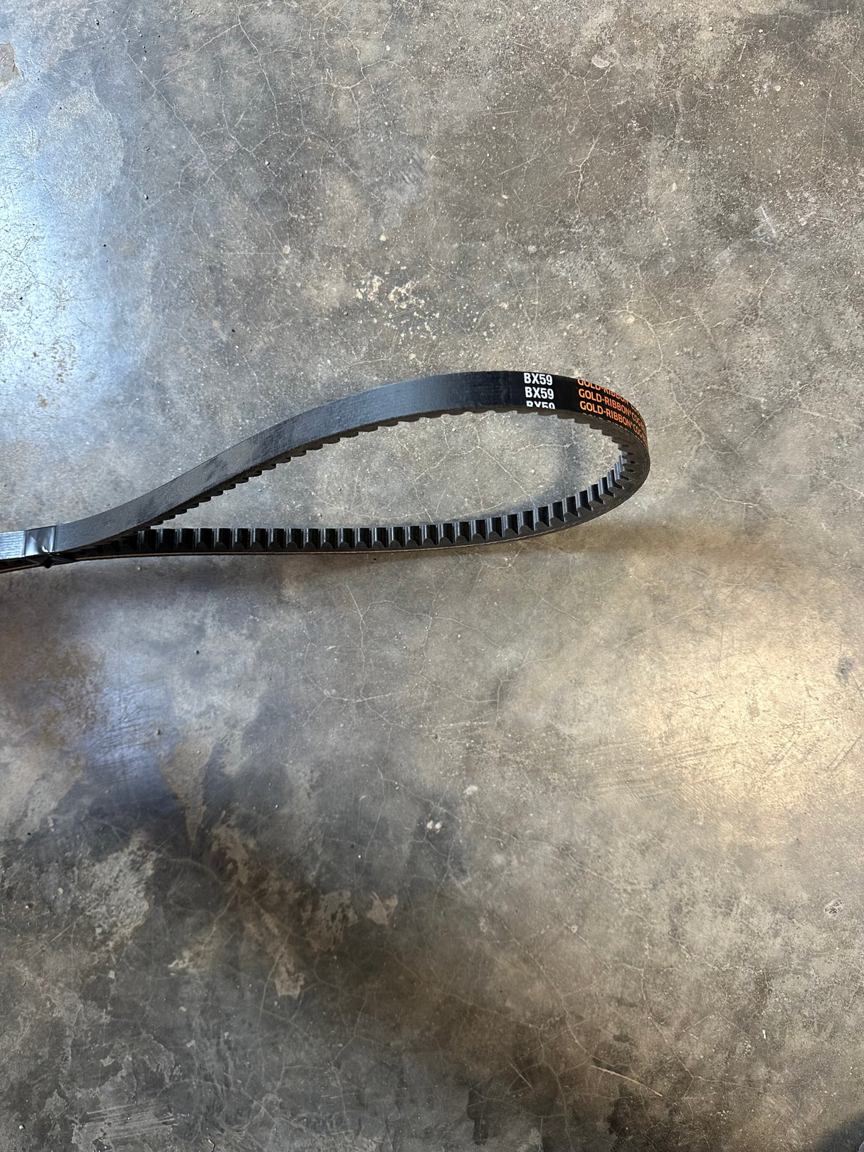 BX59 BELT