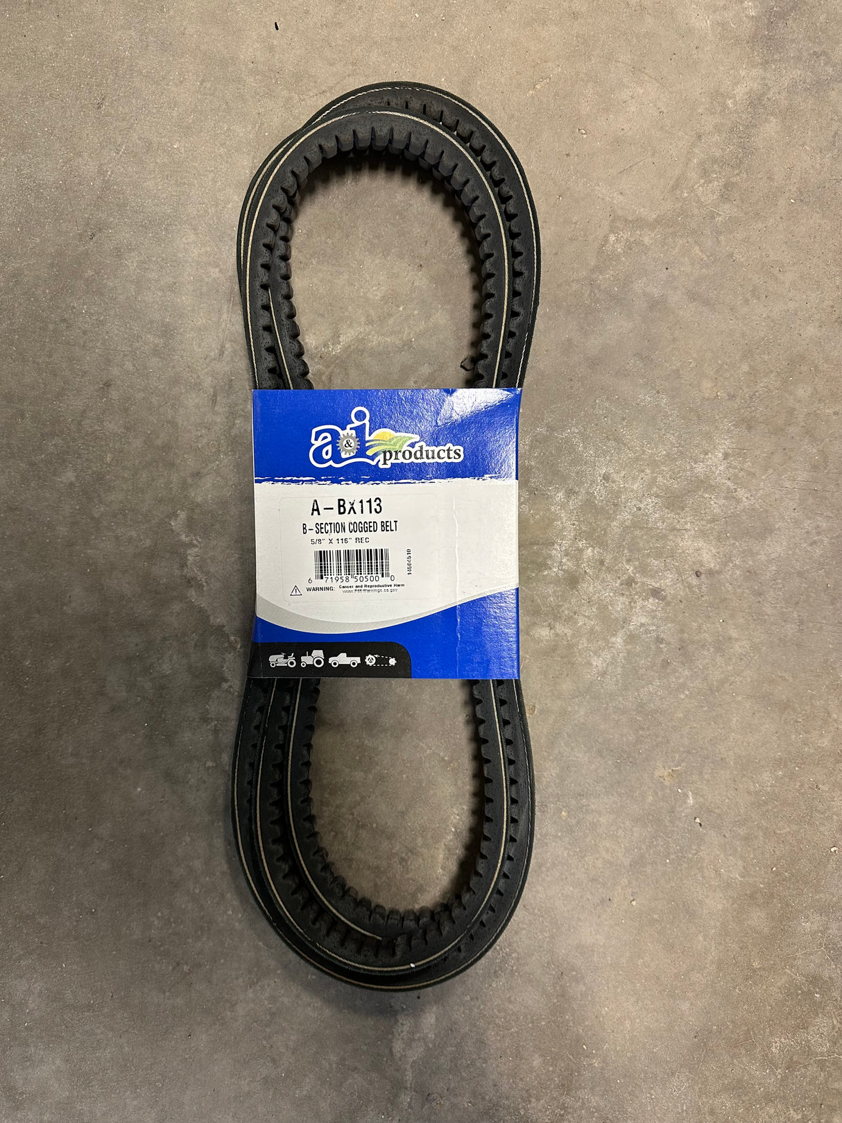 BX113 BELT
