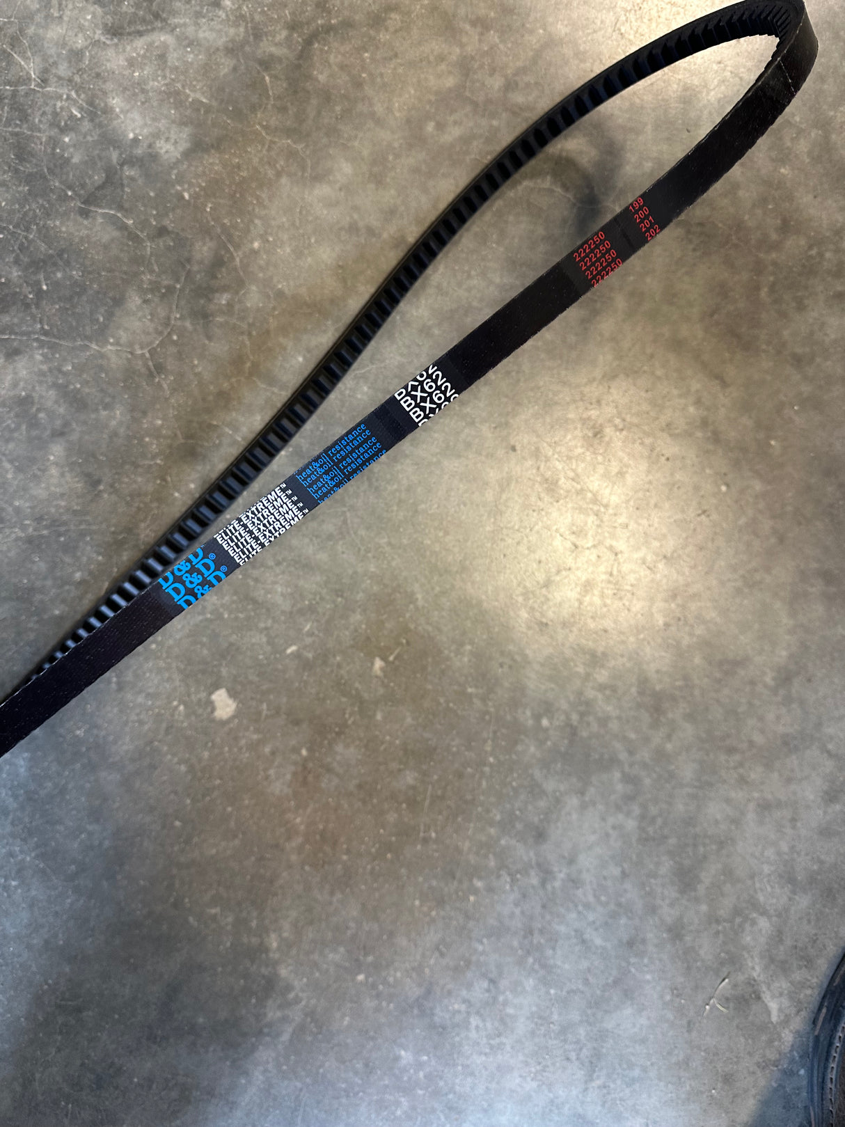BX62 BELT