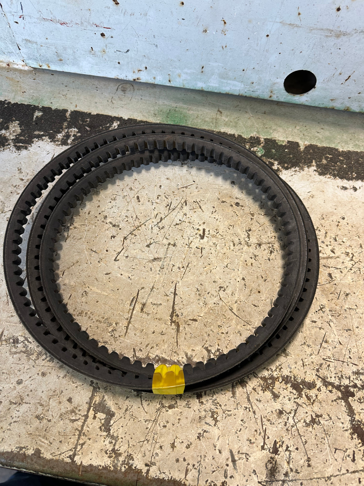 BX103 BELT