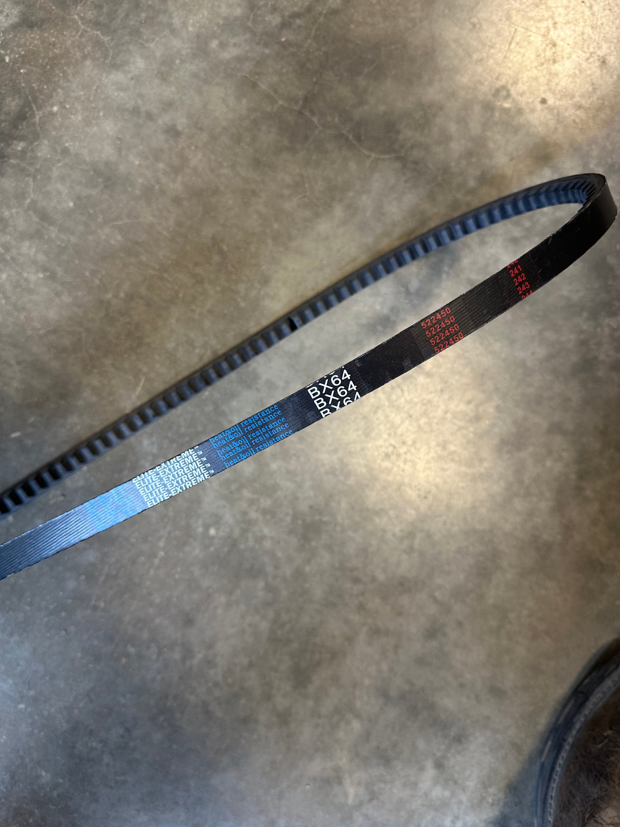 BX64 BELT